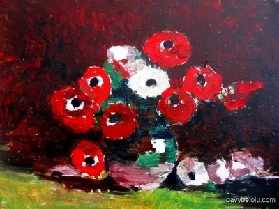 anemone