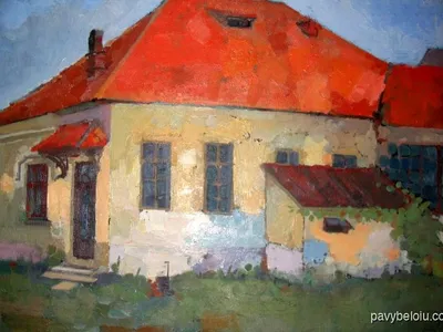 casa parintilor 1
