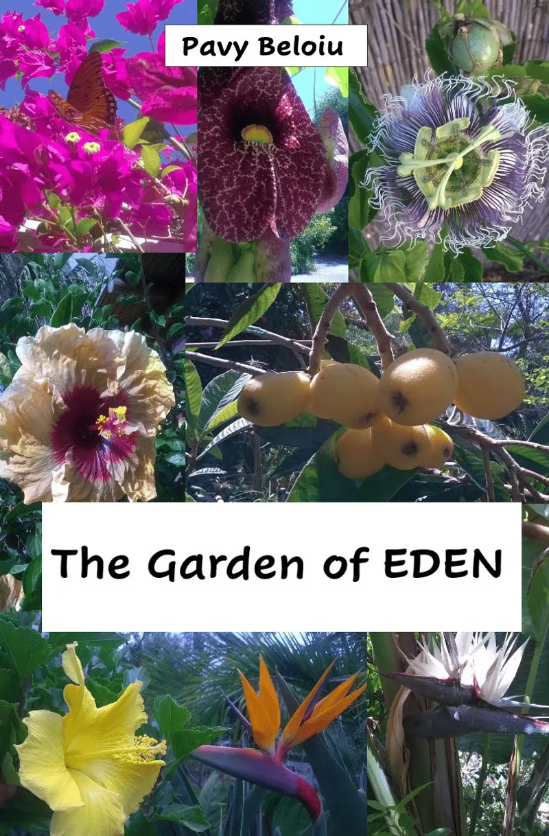 The Garden of Eden
