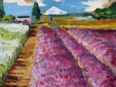 Lavander si Mt Hood